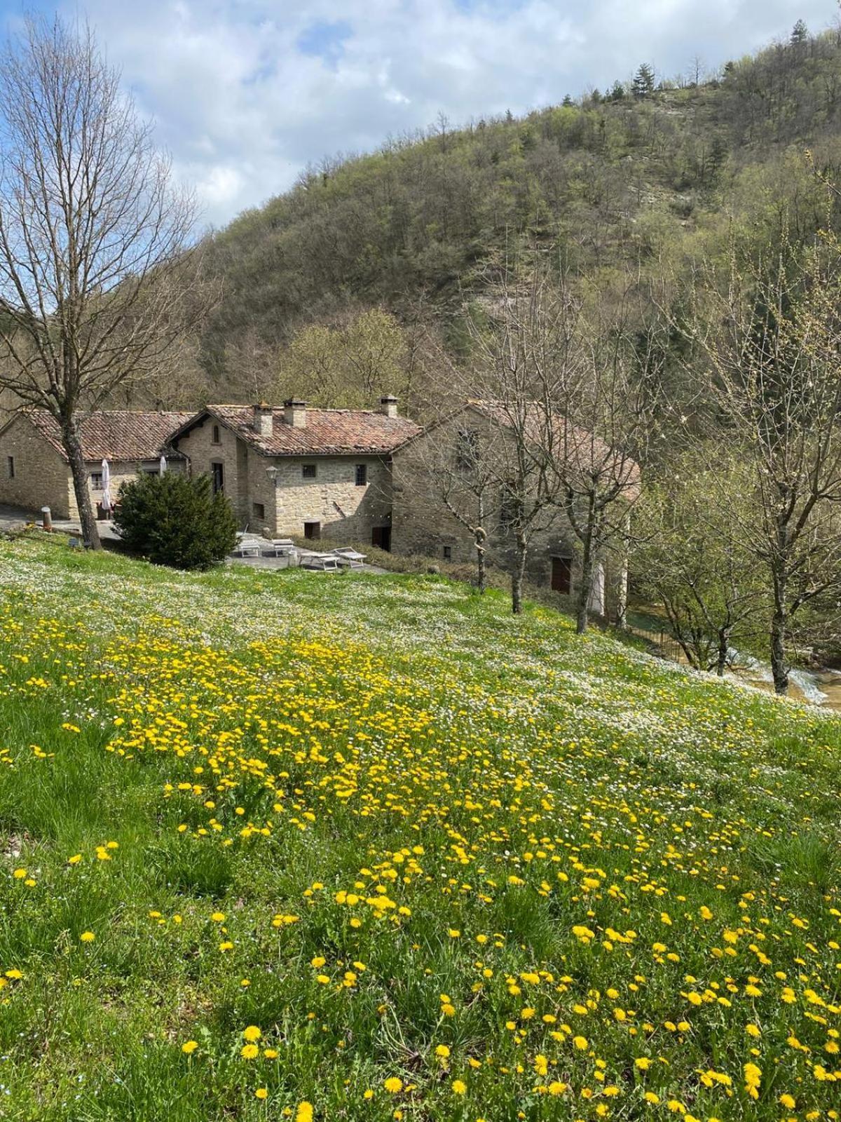 Borgo Corniola B&B Naturista Марраді Екстер'єр фото