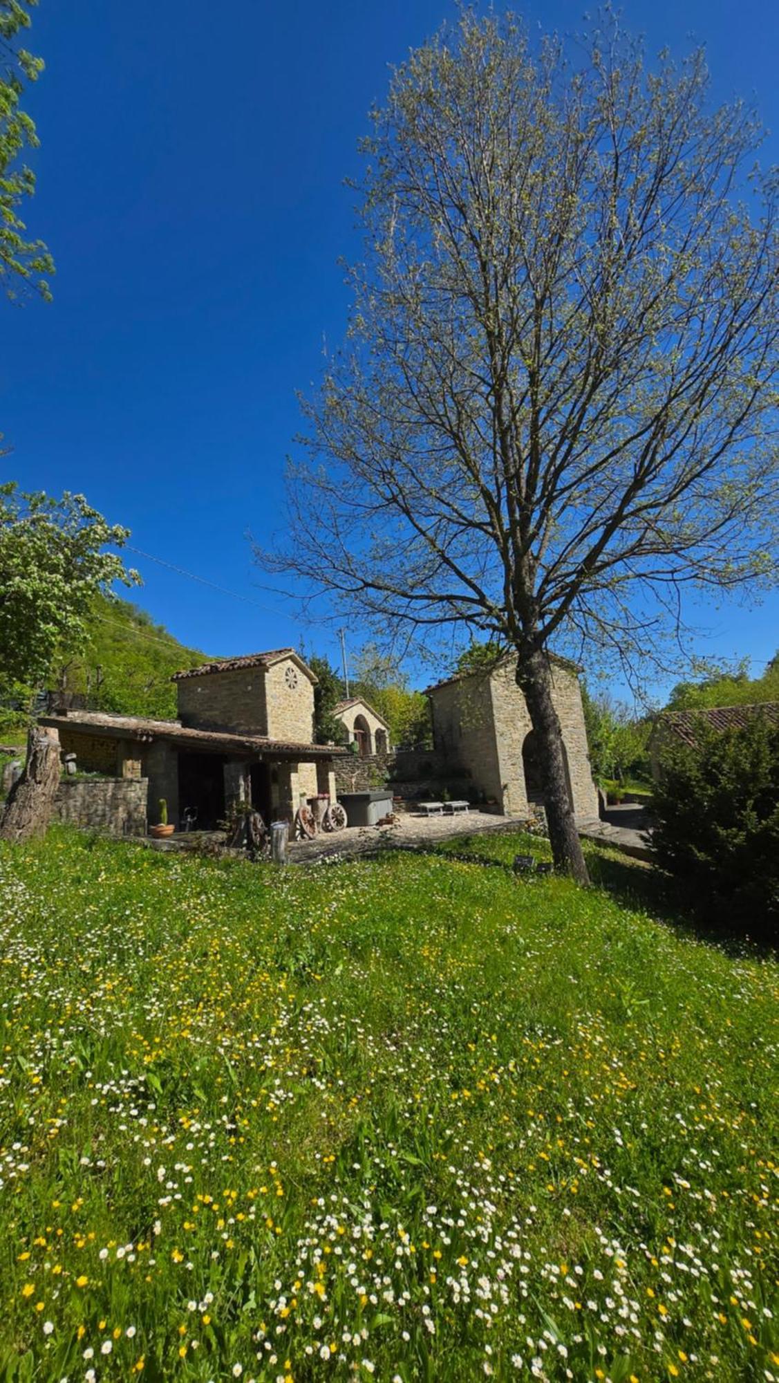 Borgo Corniola B&B Naturista Марраді Екстер'єр фото